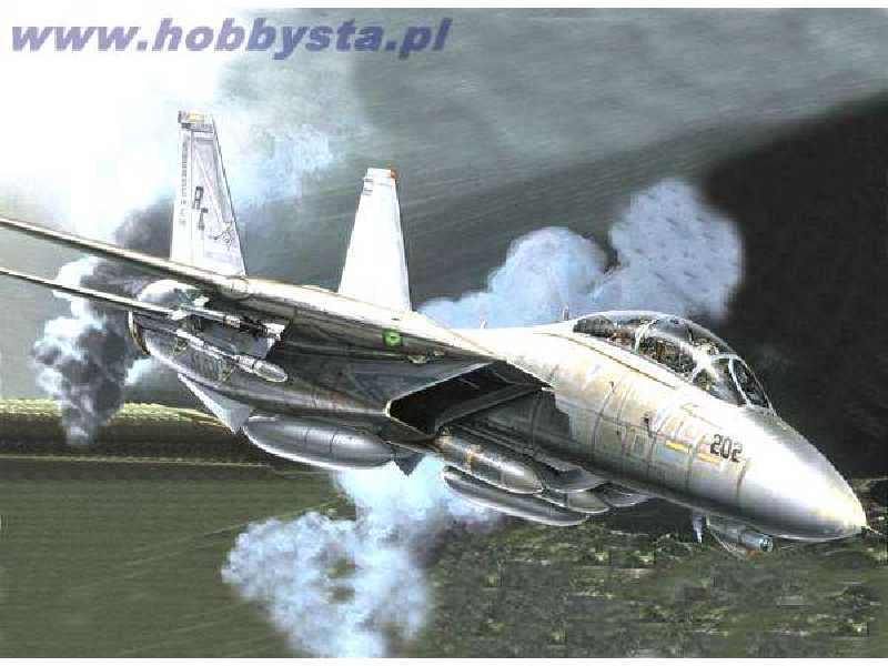 F-14 A Tomcat Plus - image 1