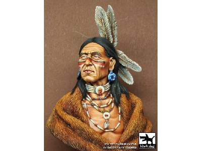 Sioux Lakota - image 2