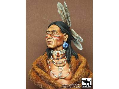 Sioux Lakota - image 3