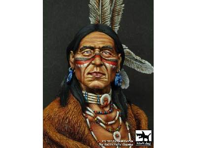 Sioux Lakota - image 4