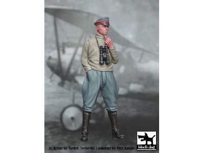 German Fighter Pilot N°2 - image 1