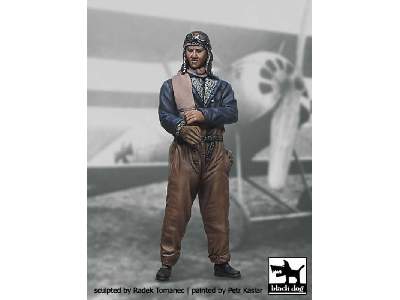 German Fighter Pilot N°4 - image 1
