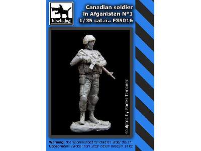 Canadian Soldier In Afganistan N°1 - image 2