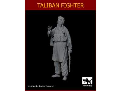 Taliban Fighter - image 2
