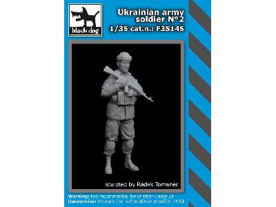 Ukrainian Army Soldier N°2 - image 2