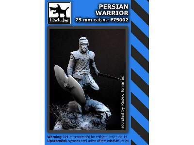 Persian Warrior - image 2