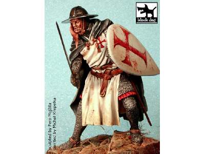 Sergeant Templar - image 1