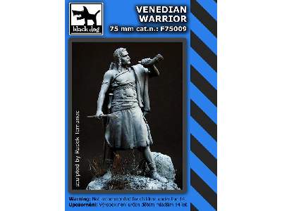 Venedian Warrior - image 2