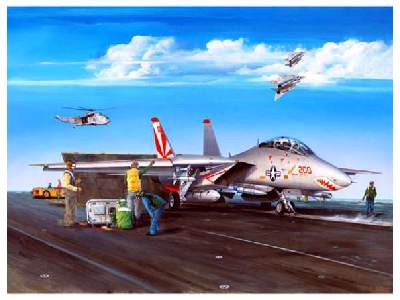 Grumman F-14A Super Tomcat - image 1