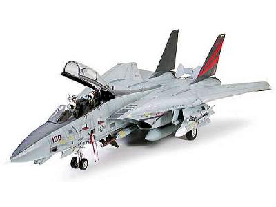 Grumman F-14A Tomcat Black Knights - image 1