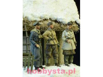 Waffen SS Officers Winter 1943-45 - image 3