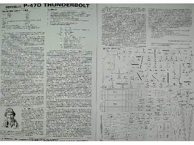 Republic P-47d-2 Thunderbolt - image 2
