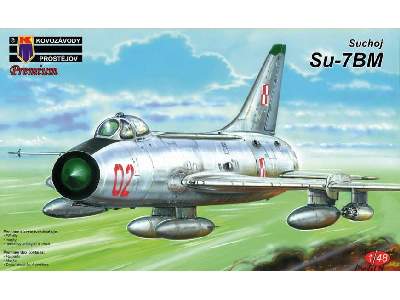 Sukhoi Su-7BM - image 1