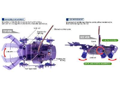 Stag Beetle - 2-Channel Remote Control - image 2