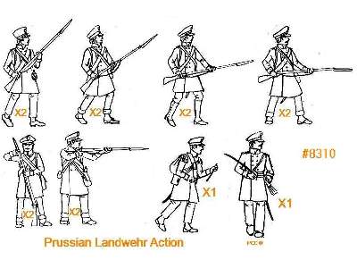 Napoleonic Prussian Landwehr Action - image 2