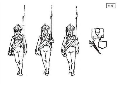 Napoleonic Wars Russian Musketeers Marching - image 2