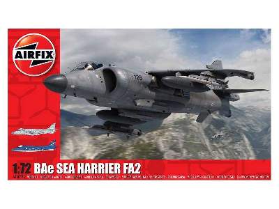BAe Sea Harrier Fa2 - image 1
