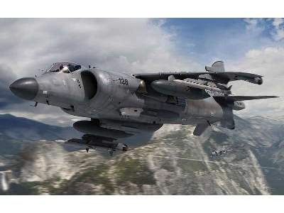BAe Sea Harrier Fa2 - image 3