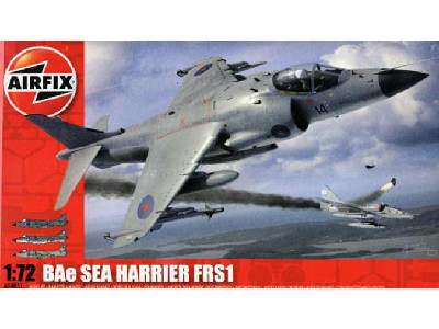 BAe Sea Harrier FRS1 - image 1