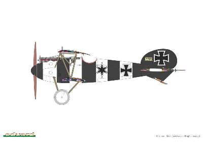 Albatros D. V 1/48 - image 4