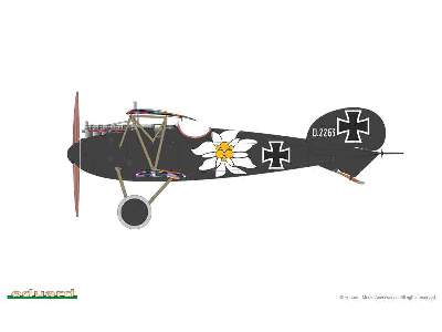 Albatros D. V 1/48 - image 5