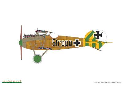 Albatros D. V 1/48 - image 6