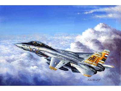 F-14 Tomcat - image 1