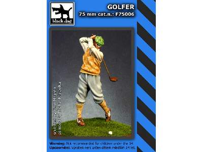 Golfer - image 2
