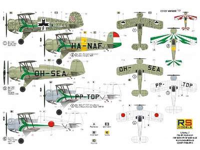 Bücker 133 C Green stripe - image 2