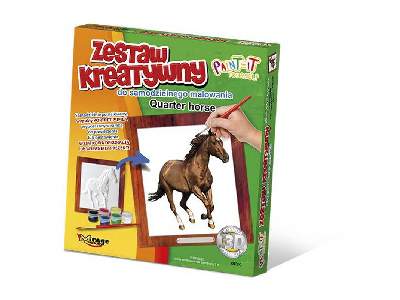 Zestaw Kreatywny Koń  Quarter Horse - image 1