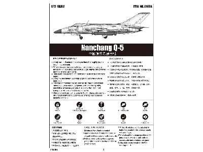 Nanchang Q-5 Yi - image 5