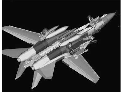 Grumman F-14B Tomcat - image 4