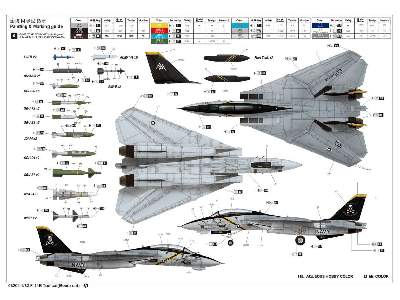 Grumman F-14B Tomcat - image 7