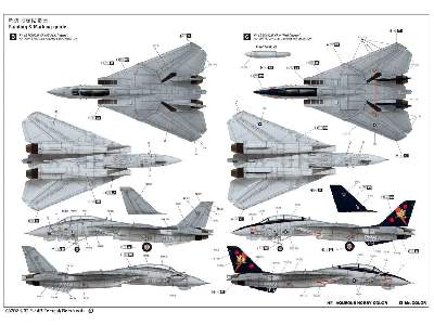 Grumman F-14B Tomcat - image 8