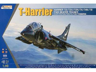 T-Harrier T2/T2A/T2N/T4/T4N/T8 Two Seater Trainer  - image 1