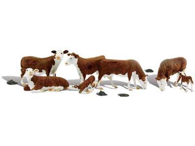 A1843 Hereford Cows - image 1