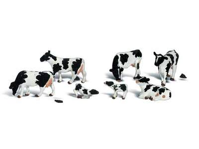 Holstein Cows - image 2