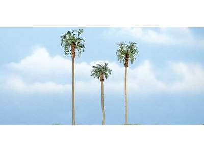 Royal Palm - image 1