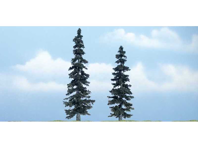 Spruce - image 1