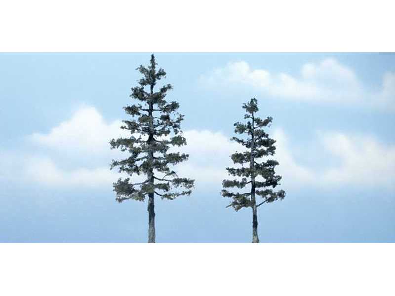 Pine - image 1