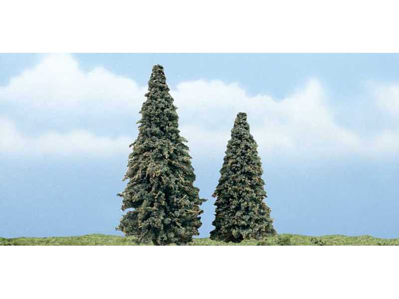 Conifer - image 1