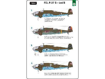 PZL.37 B Łoś (Moose) - image 10