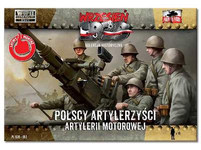 Polish gunners - image 1
