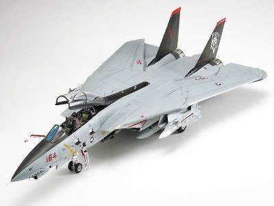 Grumman F-14D Tomcat - image 4