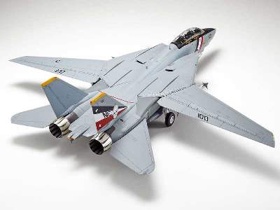 Grumman F-14D Tomcat - image 5