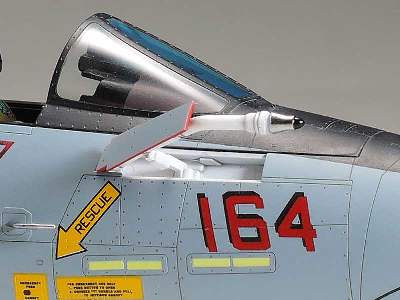 Grumman F-14D Tomcat - image 11