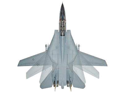 Grumman F-14D Tomcat - image 12