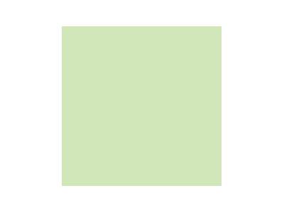 Paint Matt Beige Green - image 1