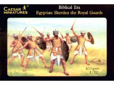 Egyptian Sherden the Royal Guards - Biblical Era - image 1