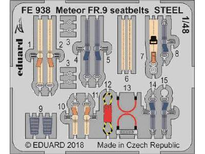 Meteor FR.9 seatbelts STEEL 1/48 - image 1